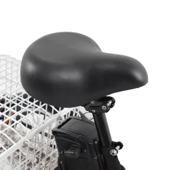 Adult Electric Tricycle
