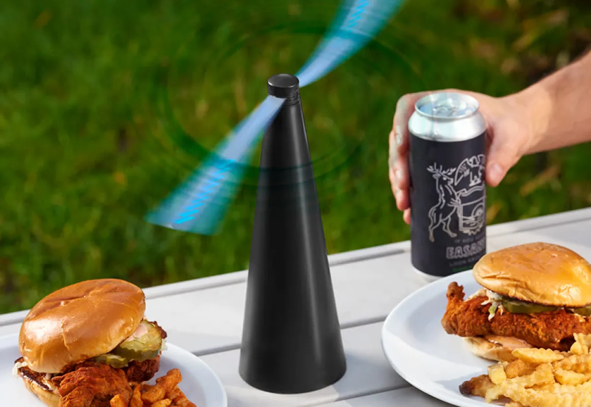Anti-Fly Fans (Set of 2)