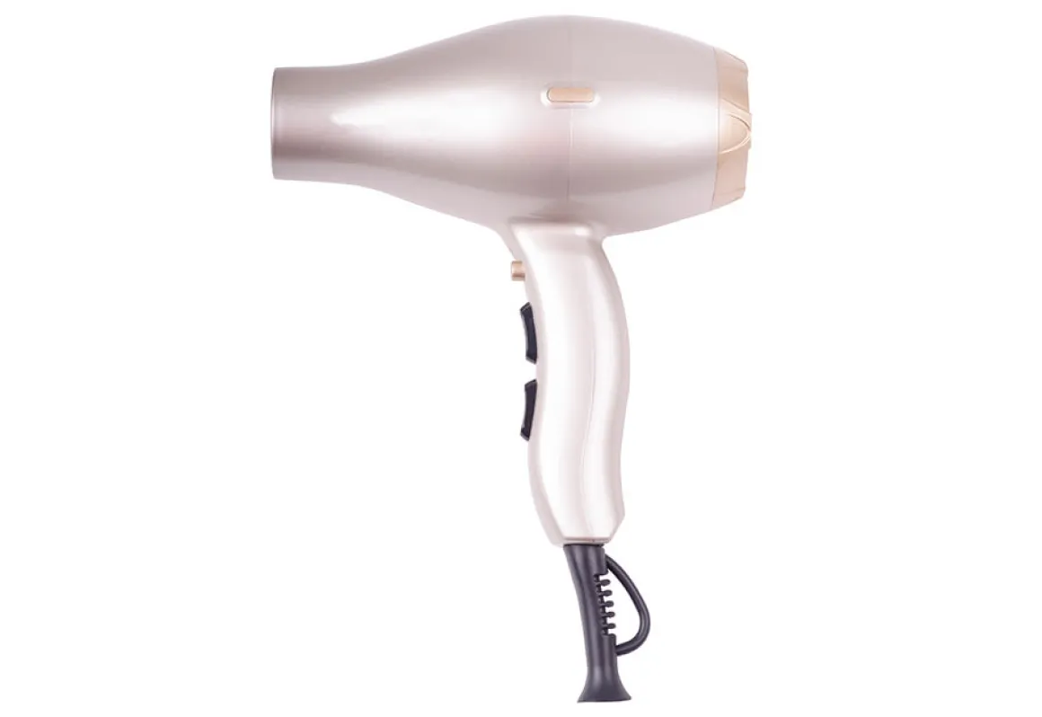 Anti-Frizz Hair Dryer