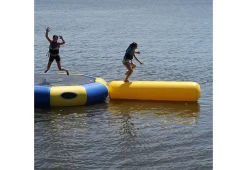 Aqua Log