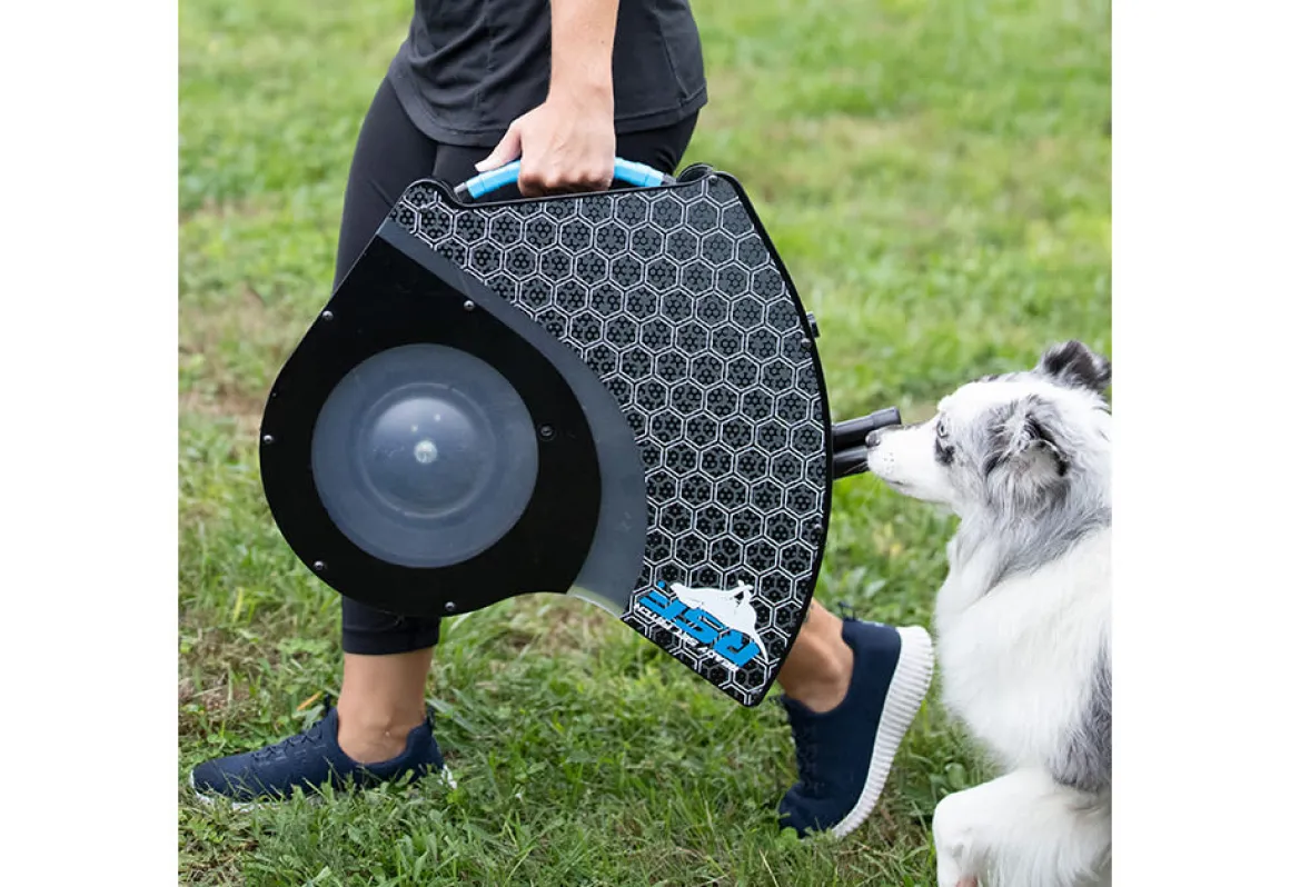 Automatic Dog Disc Launcher