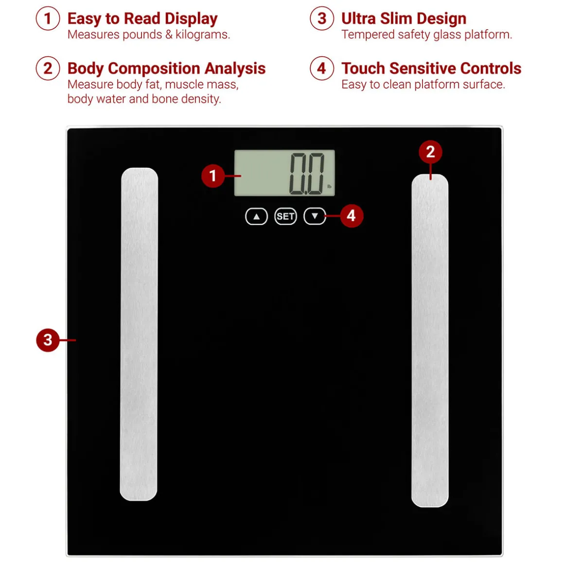 Bath and Kitchen Scale Bundle