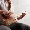 Blues Box Guitar System