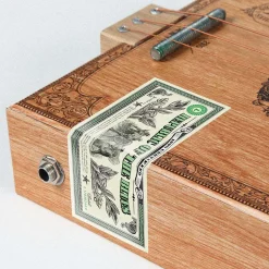 Blues Box Guitar System