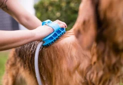 Dog Bath Brush Sprayer and Scrubber