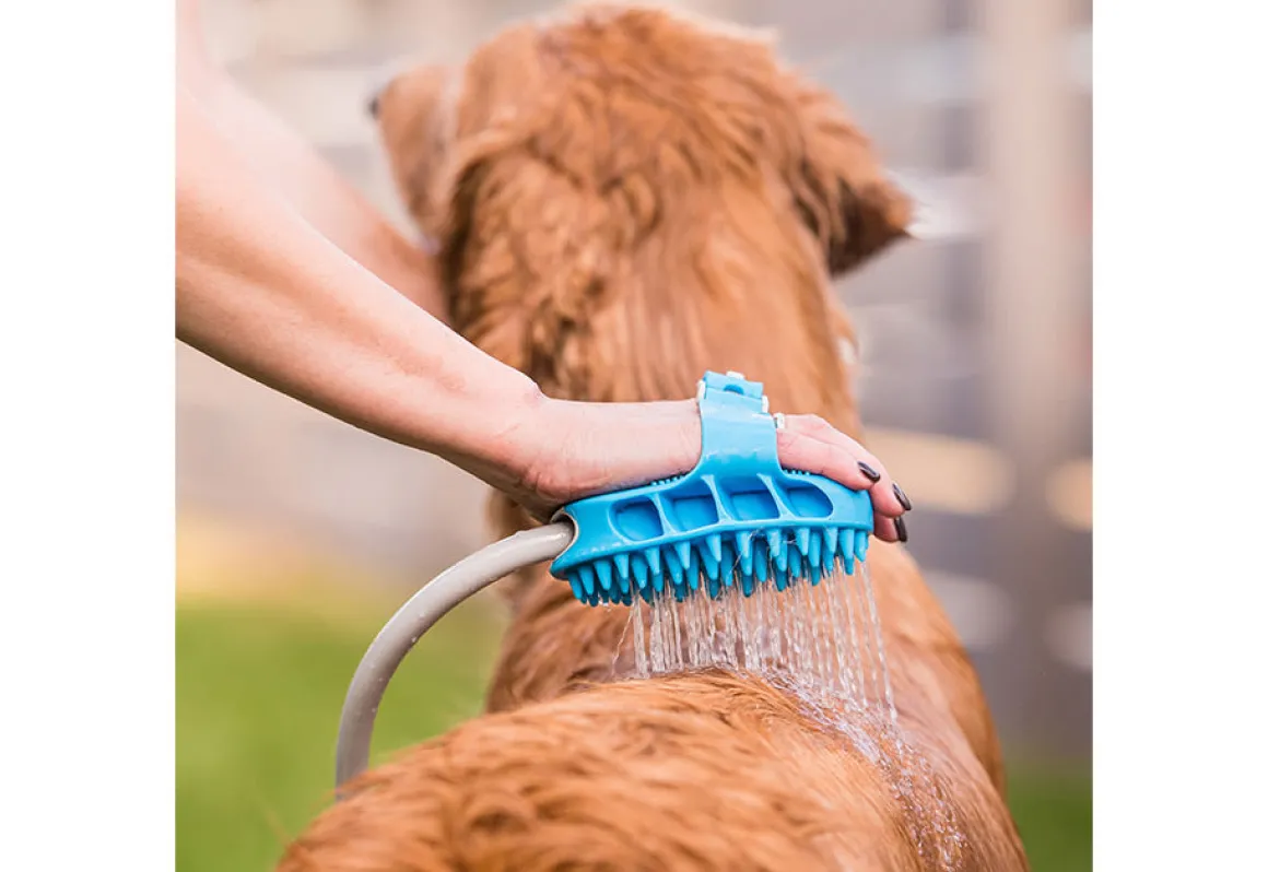 Dog Bath Brush Sprayer and Scrubber