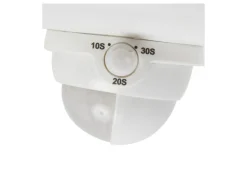 Dual LED Motion Light
