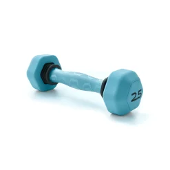 Echelon FitNation Vibra-Weight