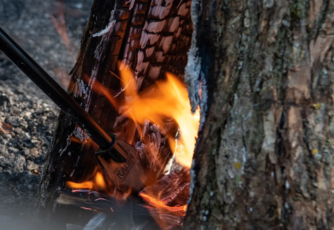 Extendable Fire Poker and Blower