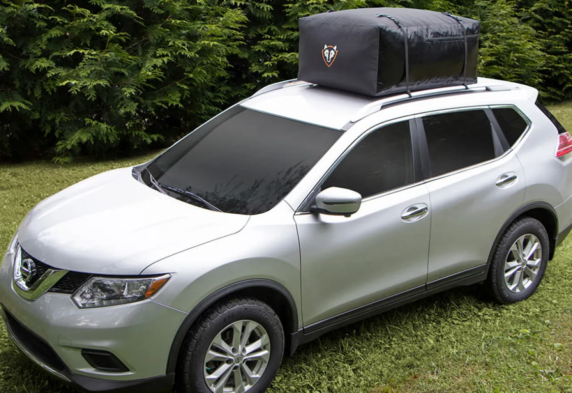 Family Vehicle Cargo Carrier