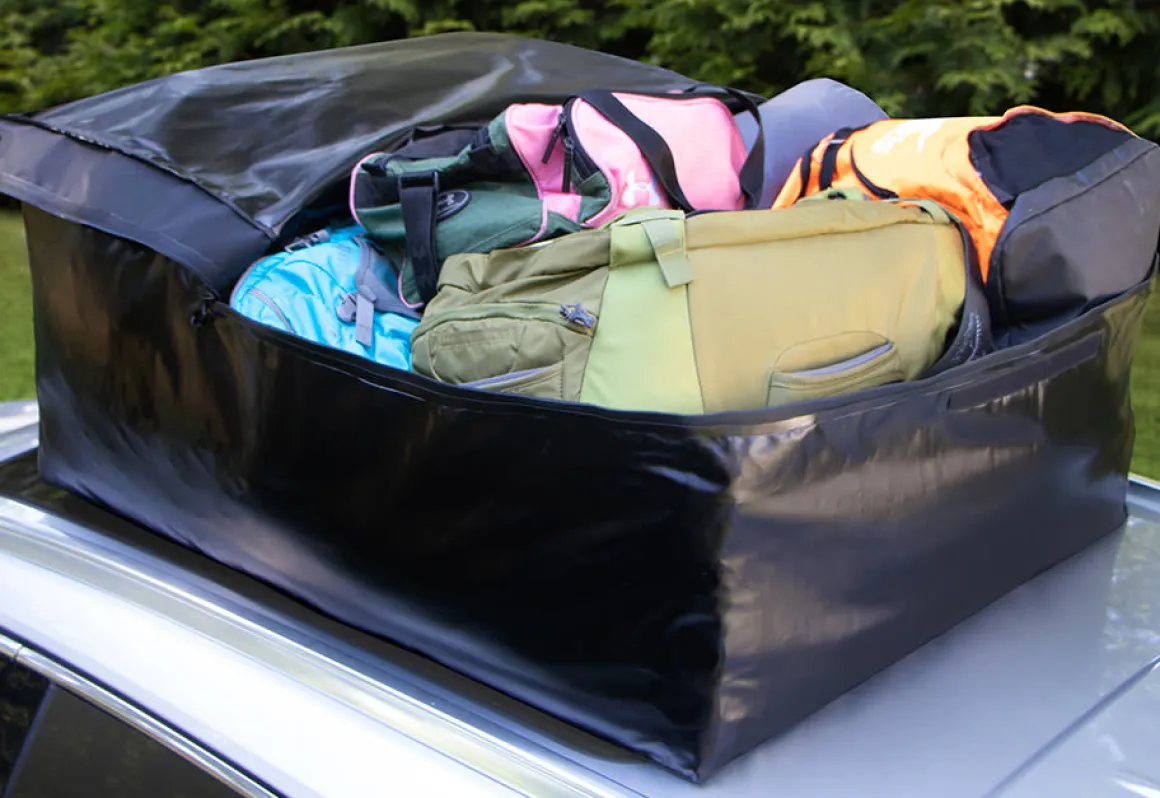 Family Vehicle Cargo Carrier