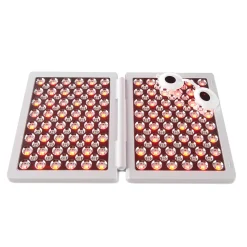 Full Face Professional Light Therapy System