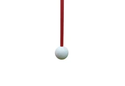 Golf Swing and Hitting Trainer