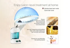 Hair and Facial Steamer