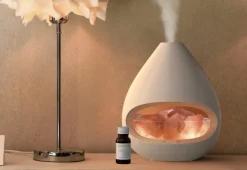 Himalayan Salt Lamp and Diffuser