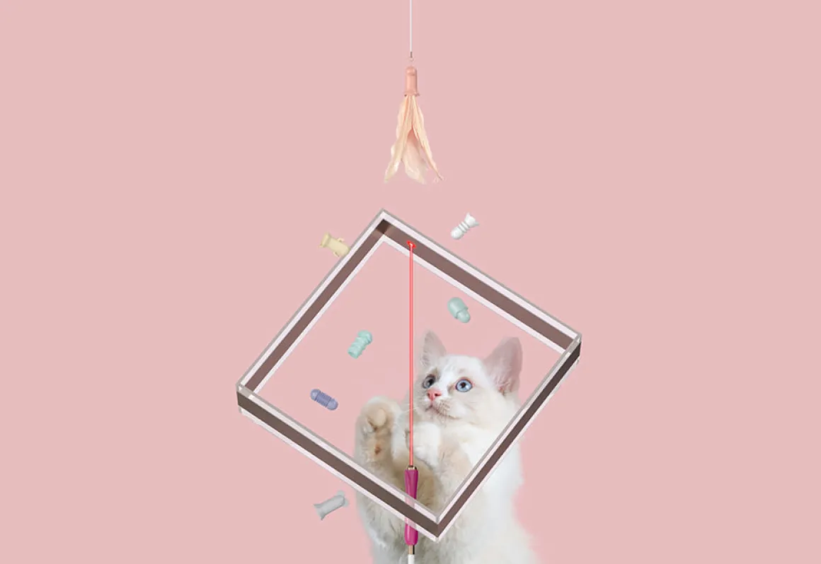10-in-1 Extendable Cat Laser and Teaser