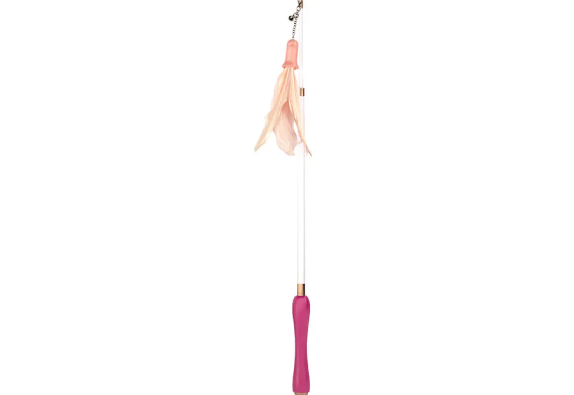 10-in-1 Extendable Cat Laser and Teaser