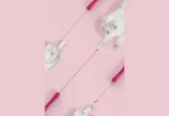 10-in-1 Extendable Cat Laser and Teaser