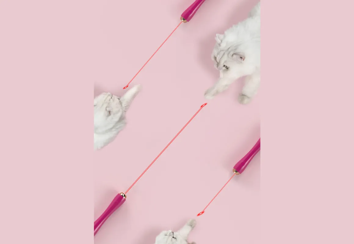 10-in-1 Extendable Cat Laser and Teaser