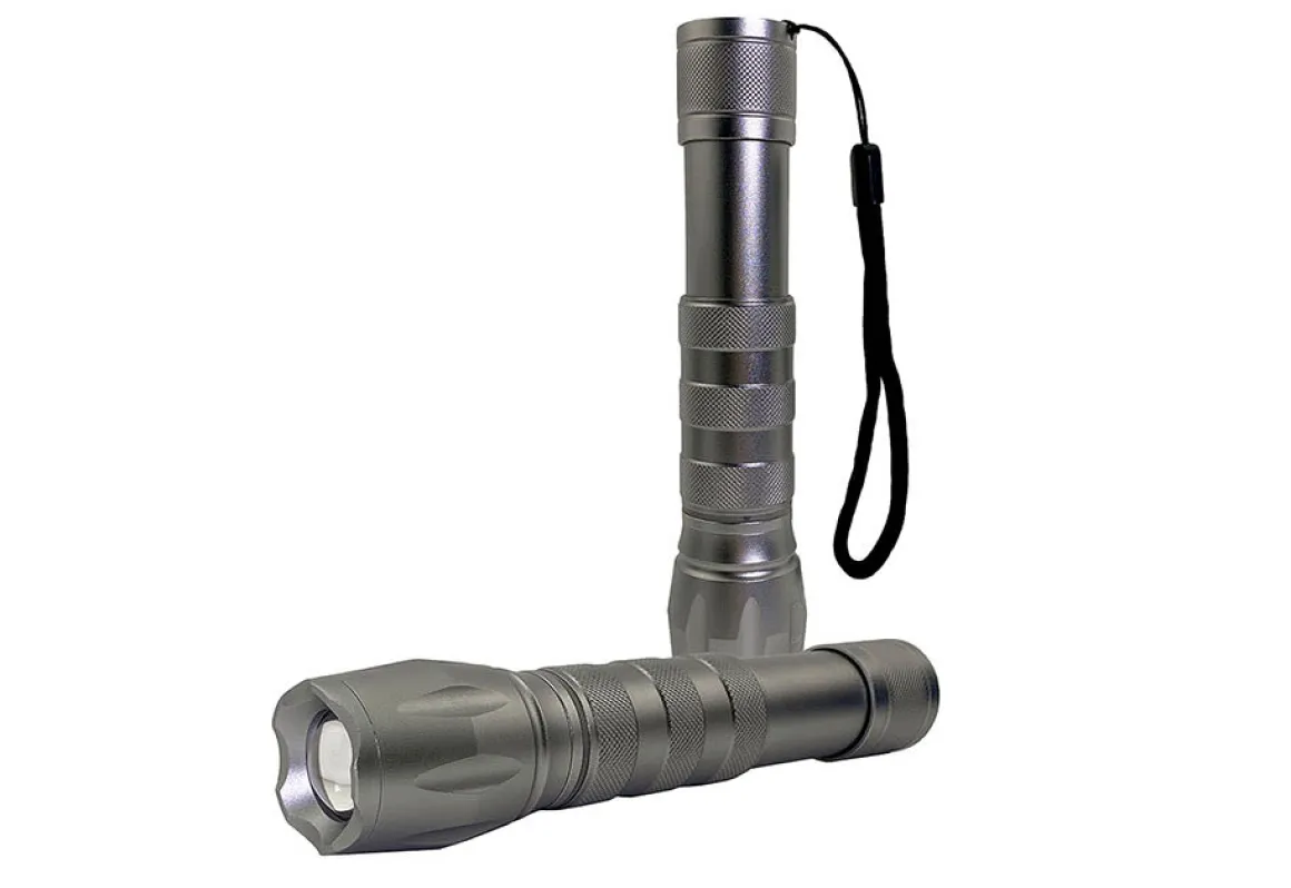 2-in-1 Flashlight Bug Zapper