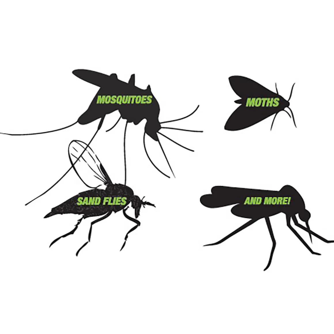 Indoor Flying Insect Trap
