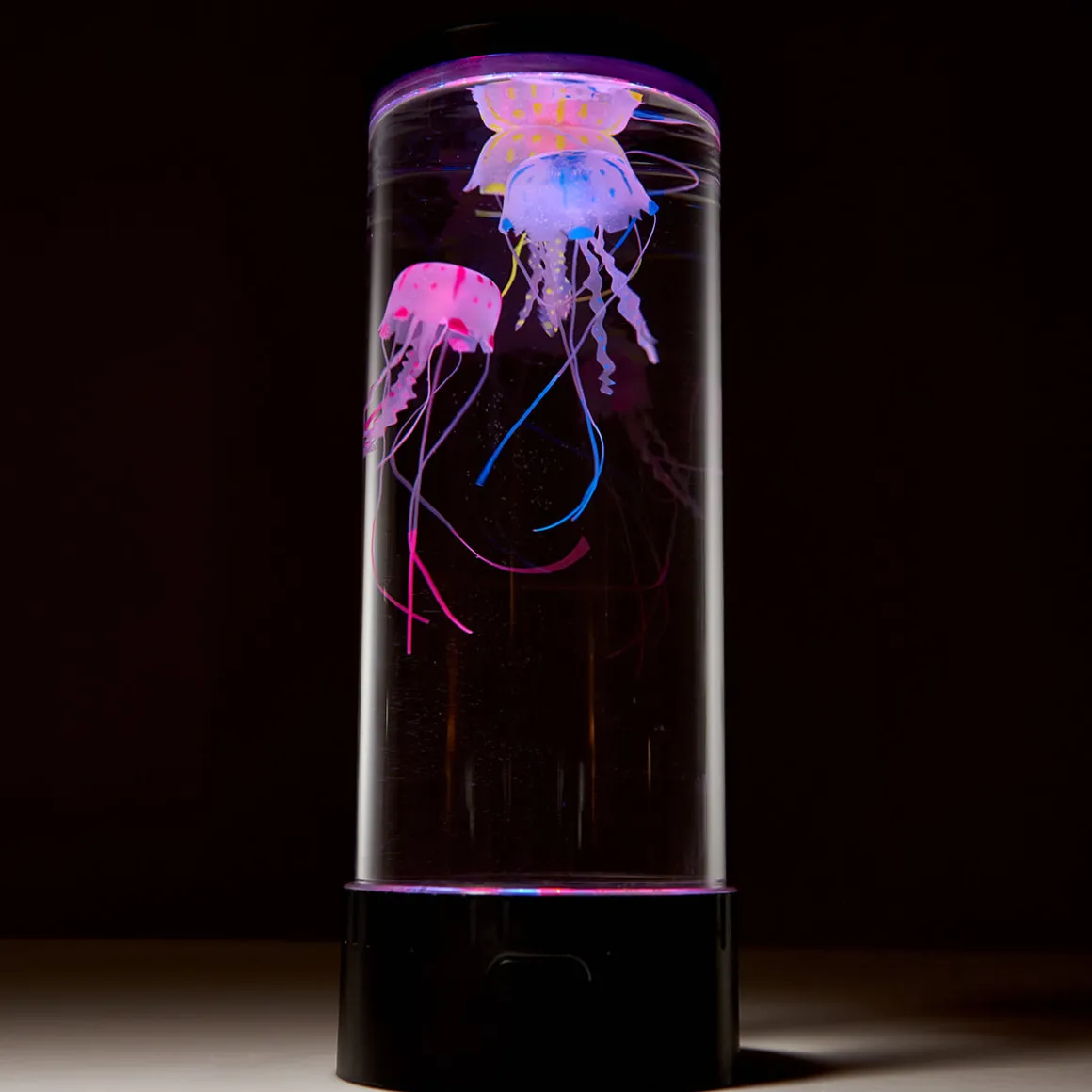 Jellyfish Aquarium