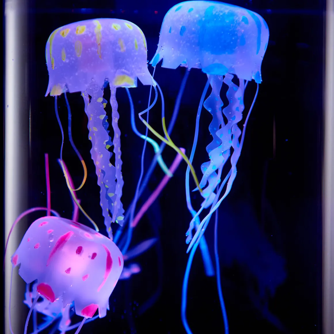 Jellyfish Aquarium