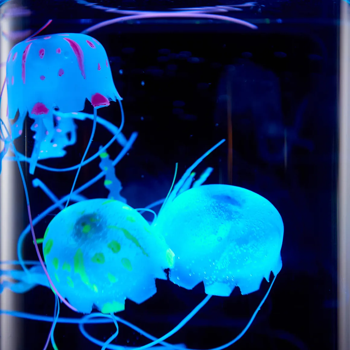 Jellyfish Aquarium