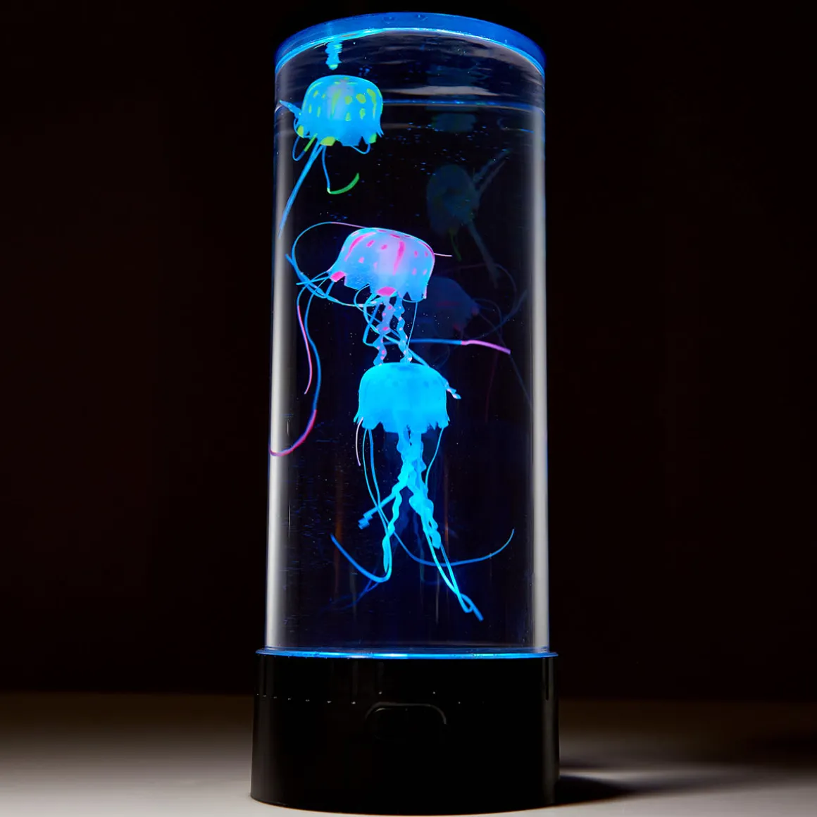 Jellyfish Aquarium