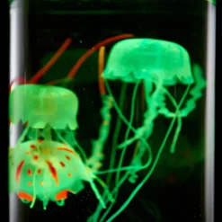 Jellyfish Aquarium