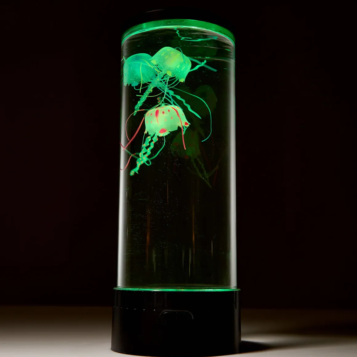 Jellyfish Aquarium