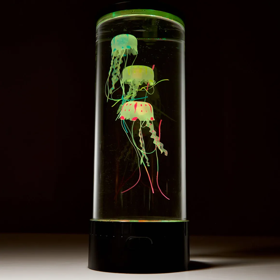 Jellyfish Aquarium