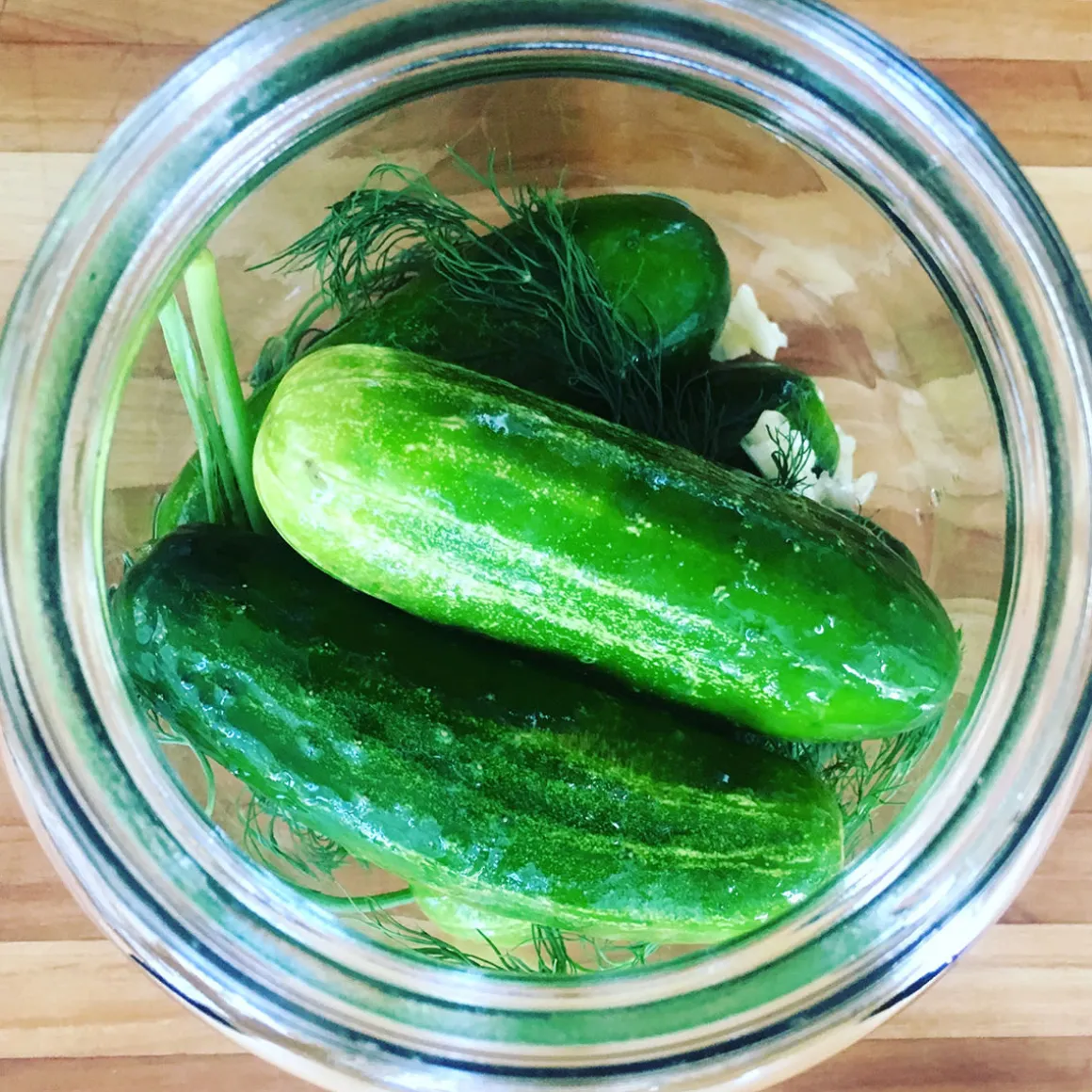 Lacto-Pickle Making Kit