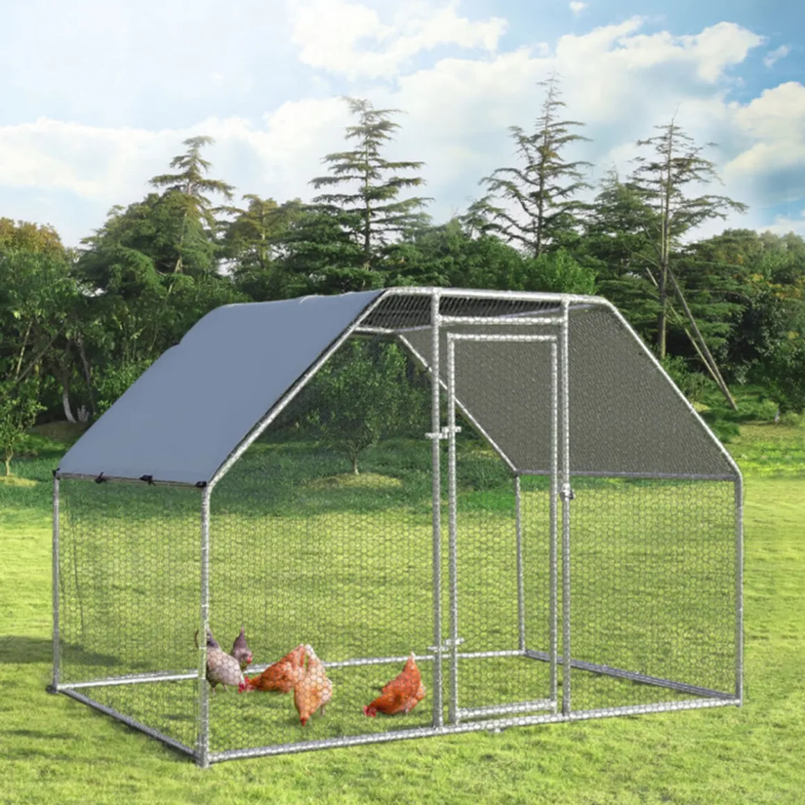 Large Walk In Chicken Run Cage