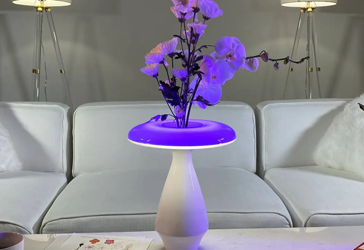 LED Ceramic Flower Vase