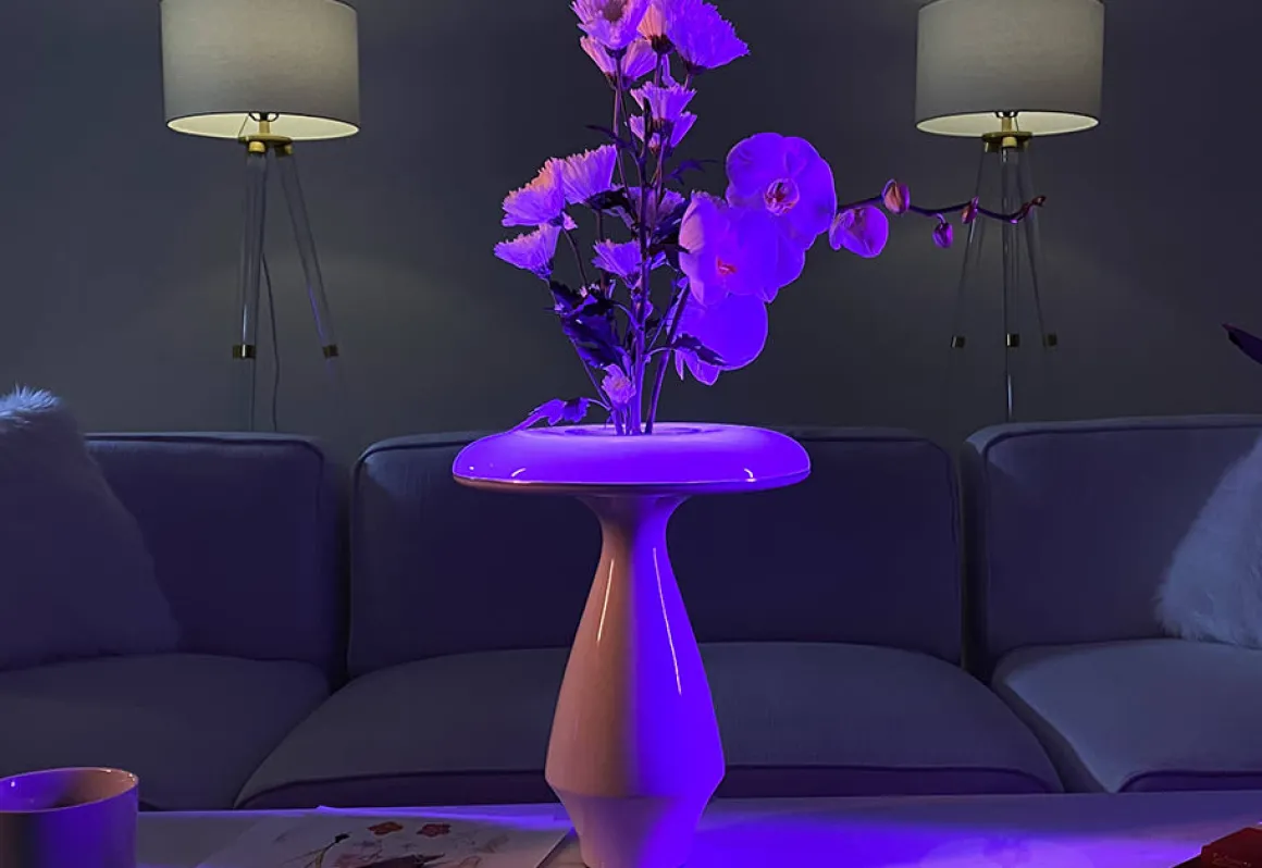 LED Ceramic Flower Vase