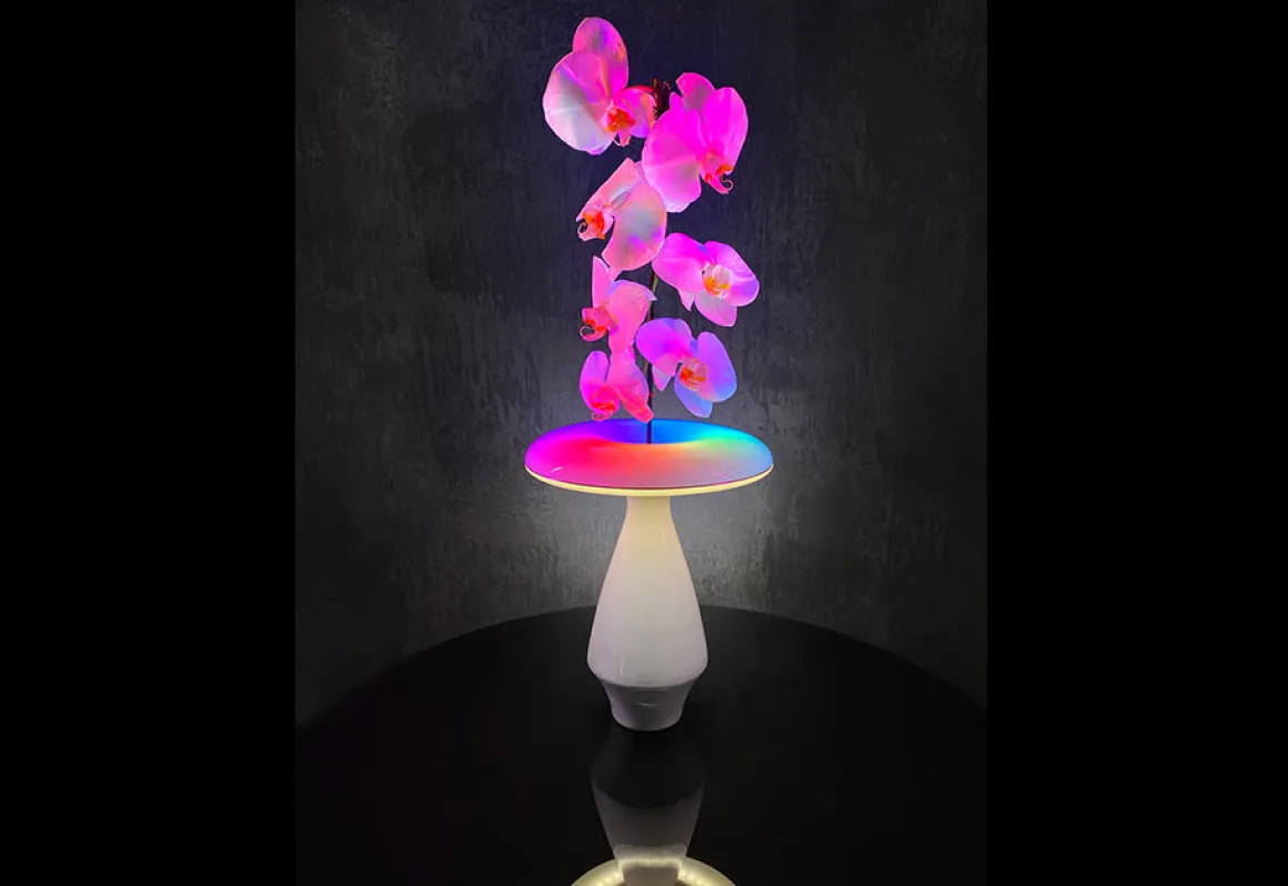 LED Ceramic Flower Vase