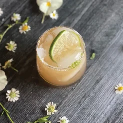 Margarita Mini Bar Kit