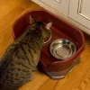 Mess Proof Pet Feeder