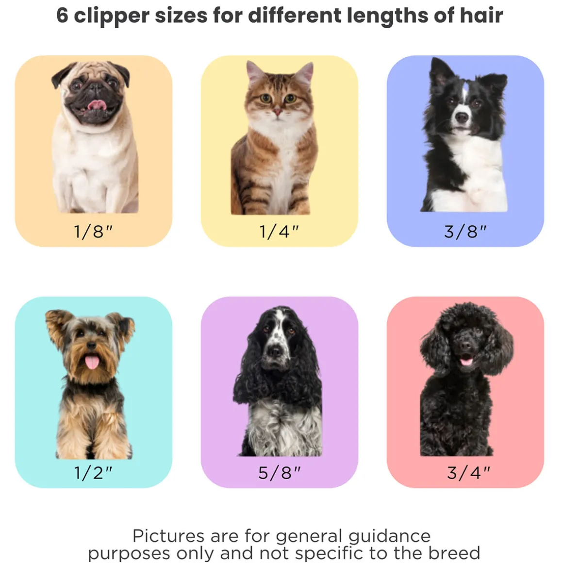 Mess-Free Pet Grooming Kit