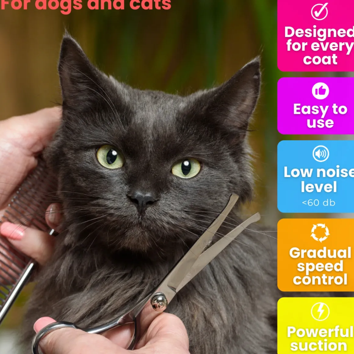 Mess-Free Pet Grooming Kit