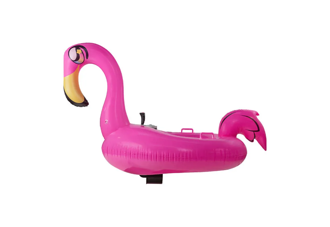 Motorized Pool Float