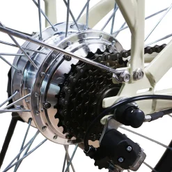 NAKTO Classic Electric Bike