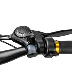 NAKTO Cruiser 2 Electric Bike