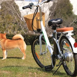 NAKTO Elegance Electric Bike