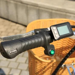 NAKTO Elegance Electric Bike