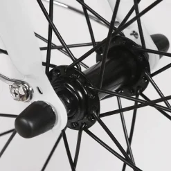 NAKTO Pony Electric Bike