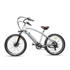 NAKTO Santa Monica Electric Bike