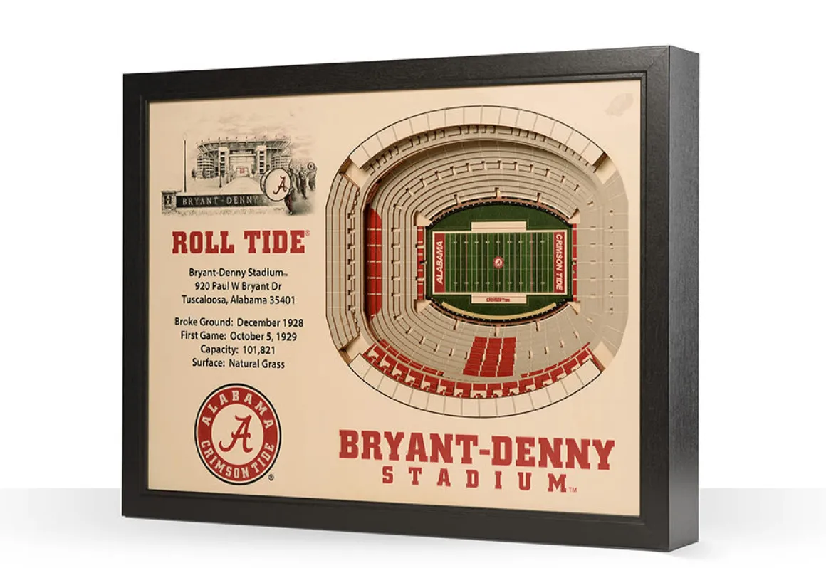 NCAA 3D Stadium Wall Art