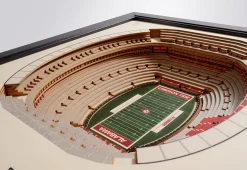 NCAA 3D Stadium Wall Art